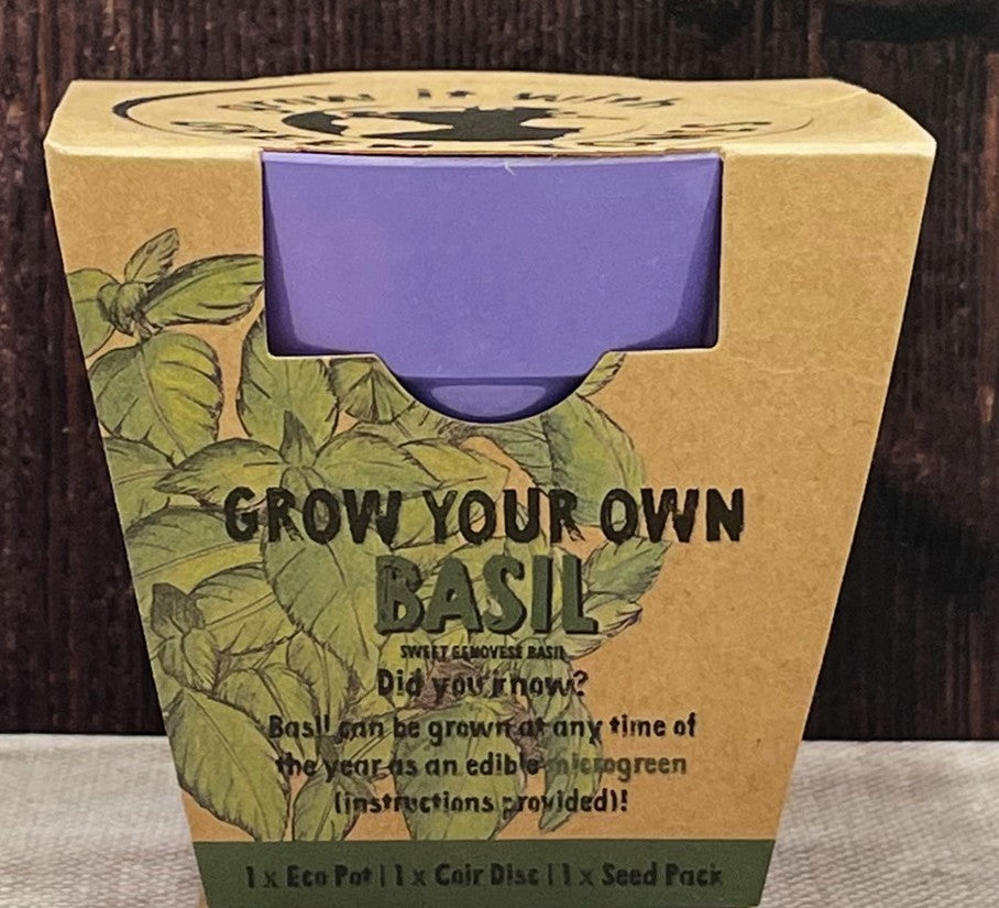 Individual Grow Your Own Basil Seed Kit