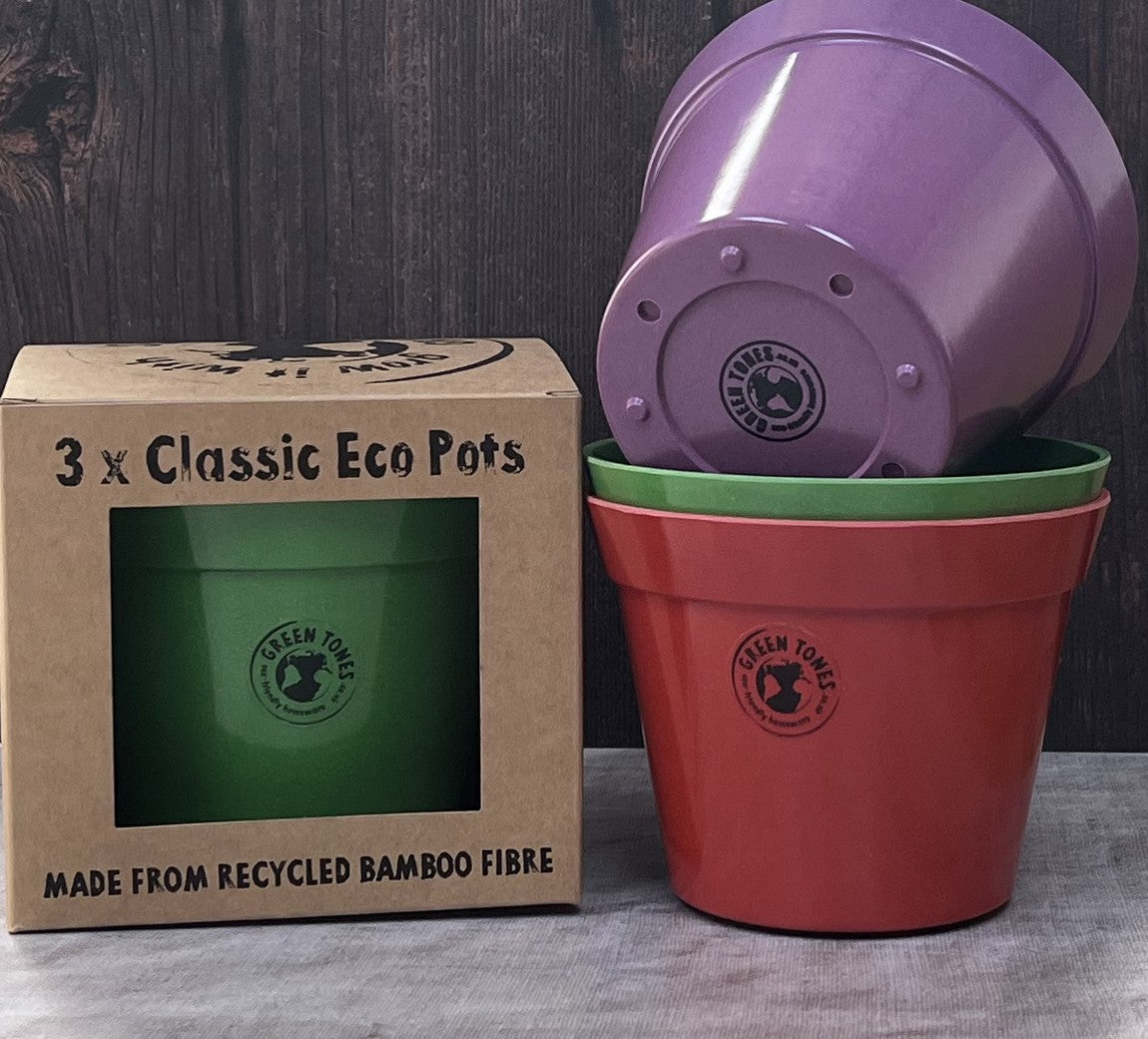 13cm Classic Pot Rainbow Set