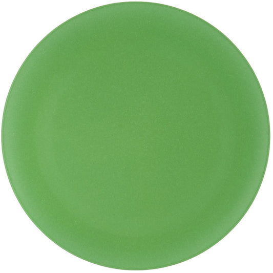 Recycled Picnic Plates