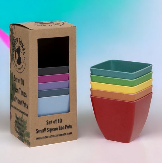 Square Eco Pot Rainbow Sets / Christmas Gardening Gift