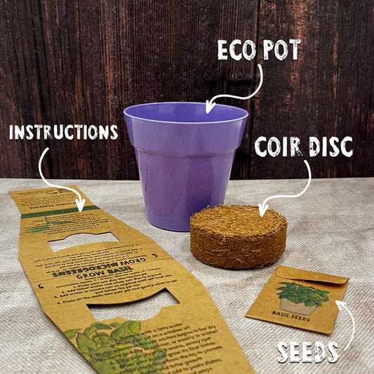 Grow Your Own Basil Seed Kit