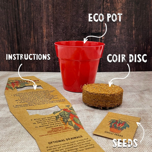 Grow Your Own Chilli Seed Kit
