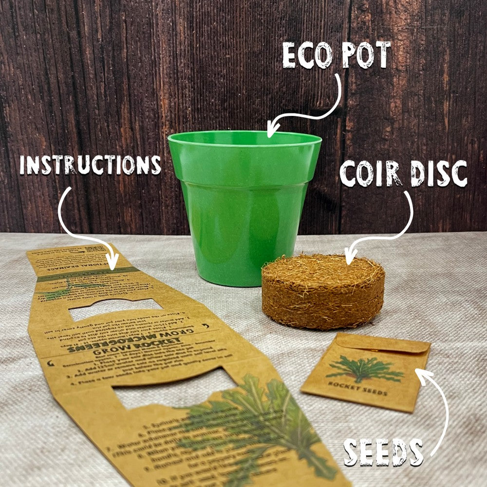 Grow Your Own Rocket Seed Kit