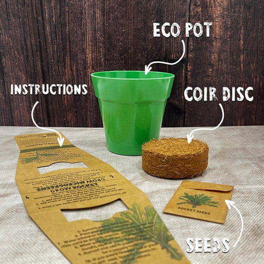 Grow Your Own Rocket Seed Kit