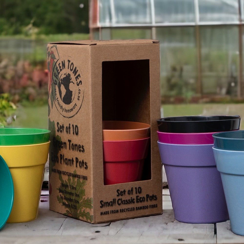 Round Eco Pot Rainbow Set / Christmas Gardening Gift