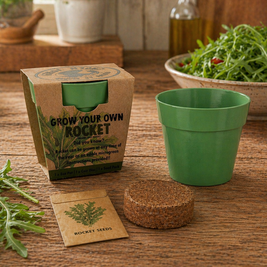 Grow your own rocket kit with a green pot, seed packet, and cork lid on a wooden surface.