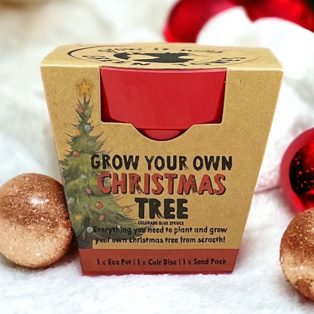 Grow Your Own Xmas Tree Seed Kit / Gardening Gift