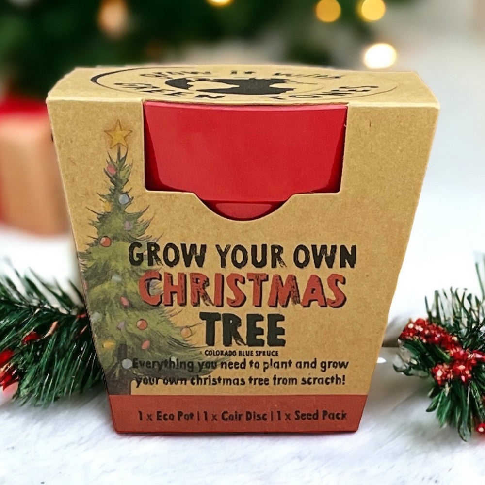 Grow Your Own Xmas Tree Seed Kit / Gardening Gift