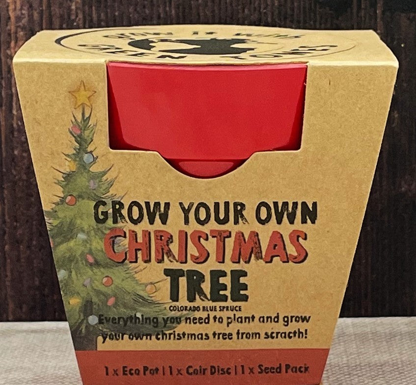 Xmas Tree Seed Kit