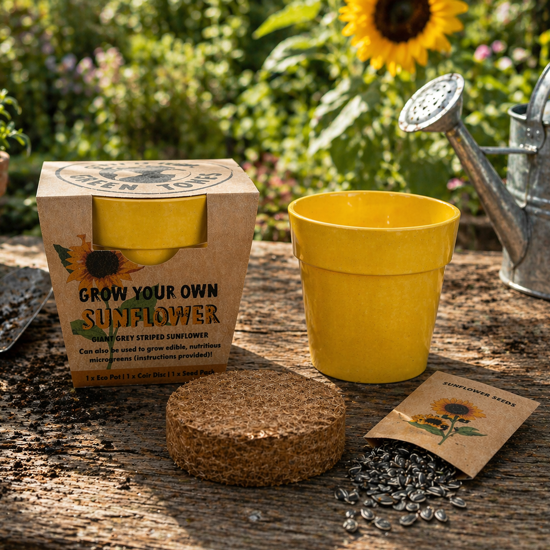 Sunflower growing kit with pot, seeds, and packaging on a wooden surface with sunflowers in the background.
